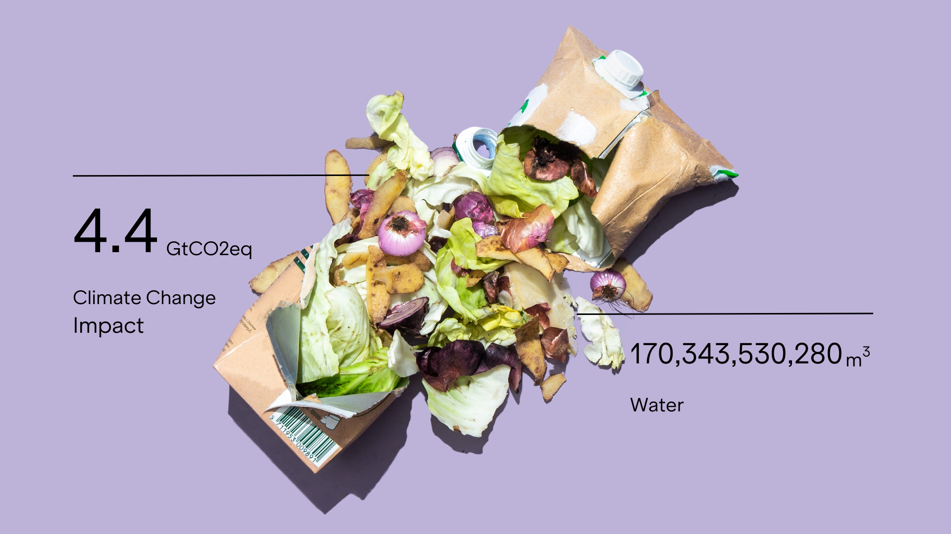 Understanding Food Waste